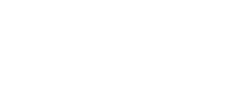 ng-logo-white